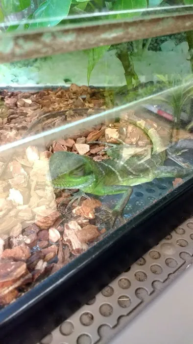 Petco Picture 7