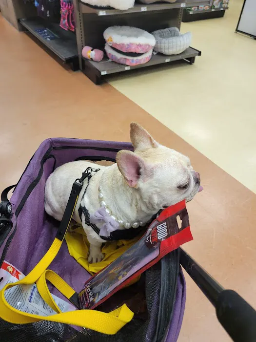 Petco Picture 6
