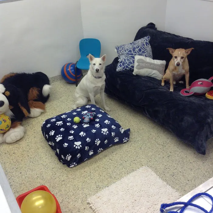 Hewlett Animal Hospital & Pet Resort Picture 4