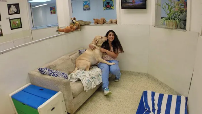 Hewlett Animal Hospital & Pet Resort Picture 9