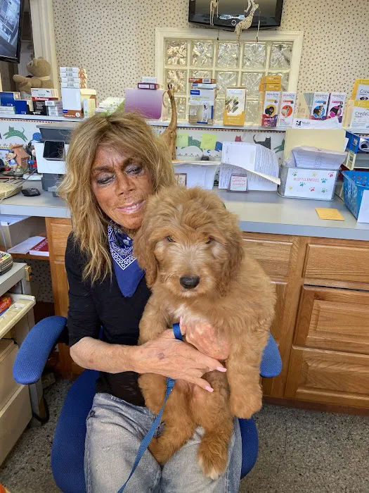 Hewlett Animal Hospital & Pet Resort Picture 8