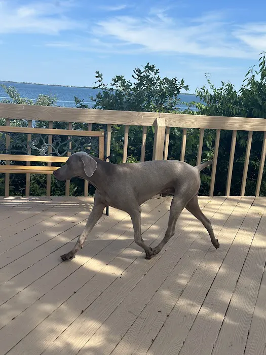 PetLove Picture 4