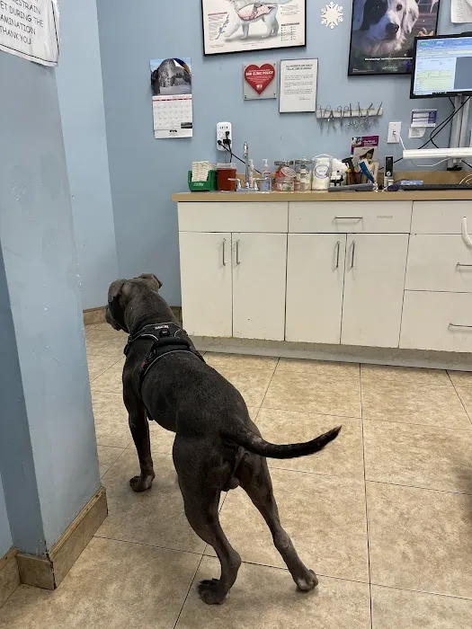 Quality Veterinary Care Picture 6
