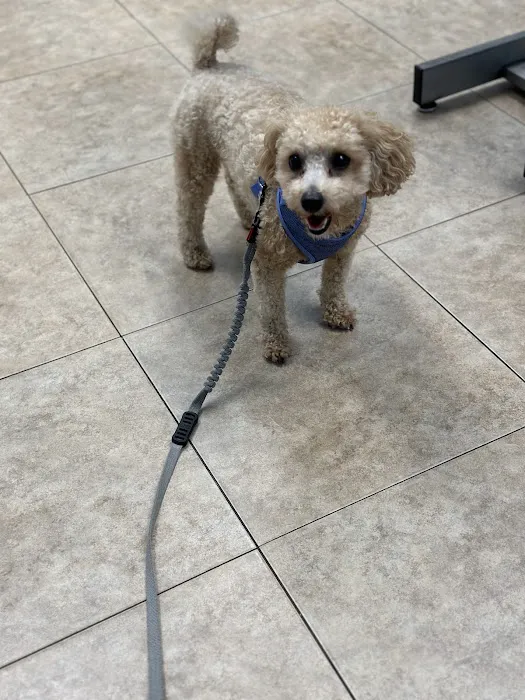 Quality Veterinary Care Picture 1