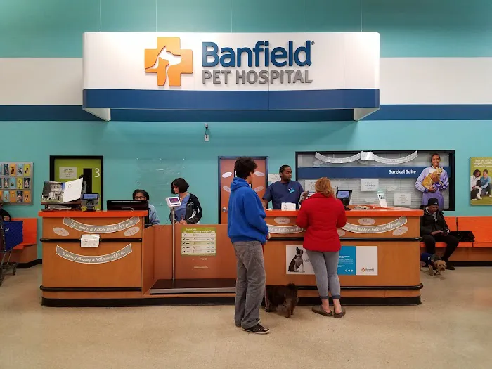 Banfield Pet Hospital Picture 2