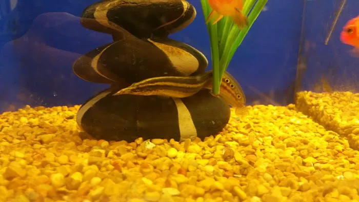 Banfield Pet Hospital Picture 7
