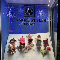 Canine Styles Midtown ico