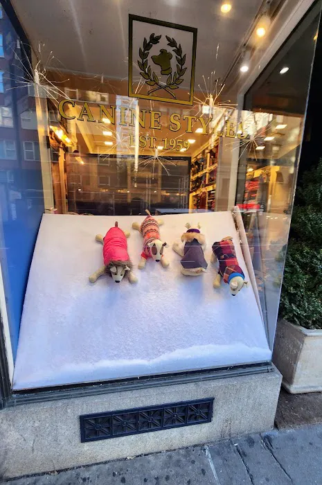Canine Styles Midtown Picture 4