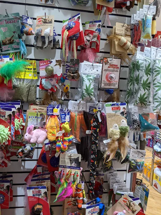 The Pet Market Picture 9