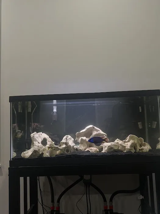 Best Aquarium Service NYC, Inc. Picture 1