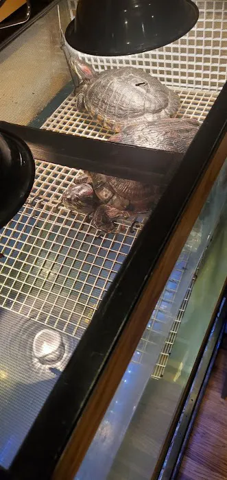 Best Aquarium Service NYC, Inc. Picture 6