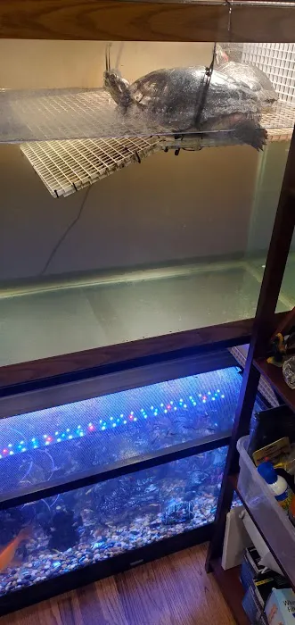 Best Aquarium Service NYC, Inc. Picture 2