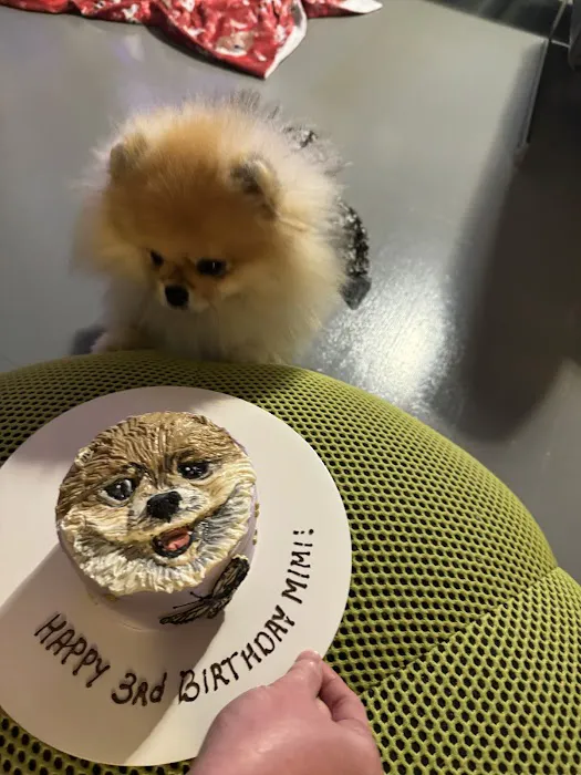Axel & Tia’s Pet Bakery Picture 6