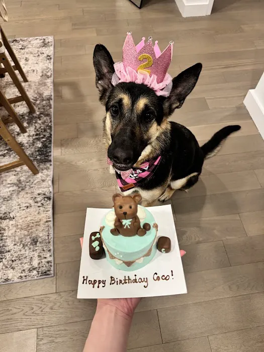 Axel & Tia’s Pet Bakery Picture 4
