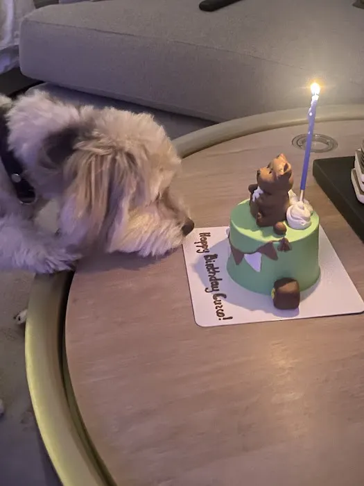 Axel & Tia’s Pet Bakery Picture 9