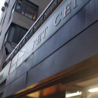 Pet Central Madison Avenue ico