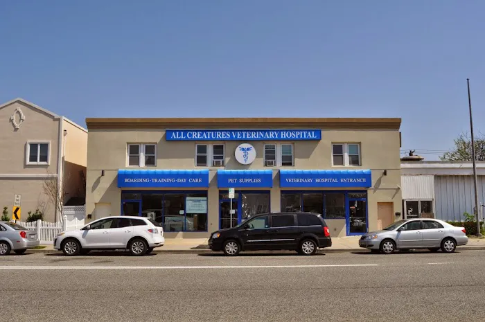 All Creatures Veterinary Services Picture 2