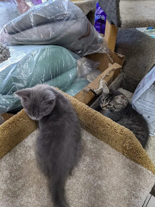 ALL 4 PETS Picture 5