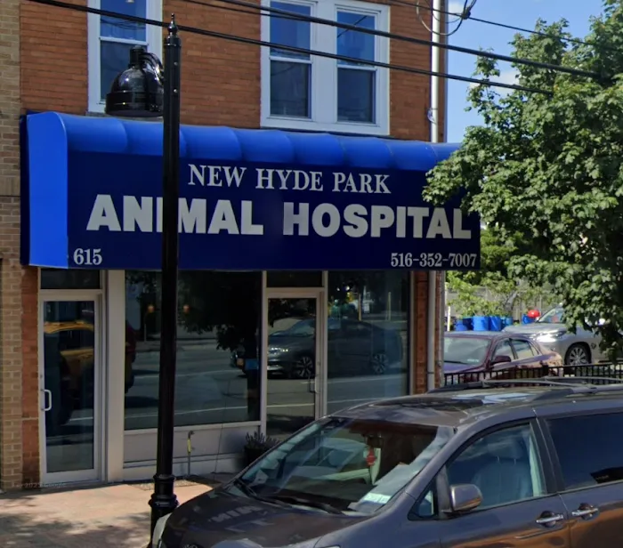 New Hyde Park Animal Hospital Picture 10
