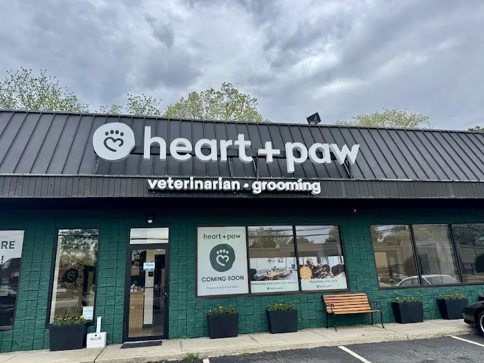 Heart + Paw Picture 9