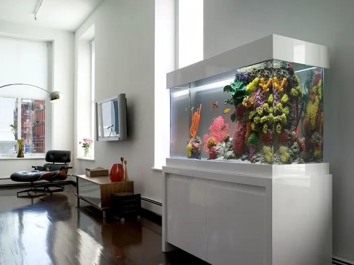 City Aquarium LLC Picture 2