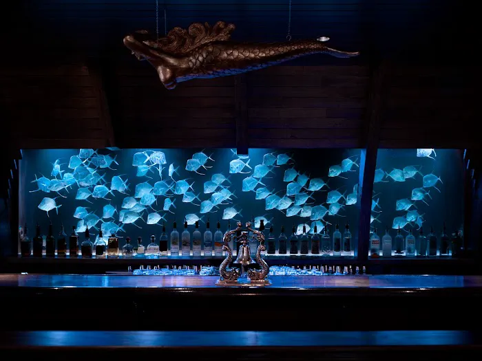 City Aquarium LLC Picture 3