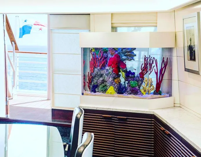 City Aquarium LLC Picture 5