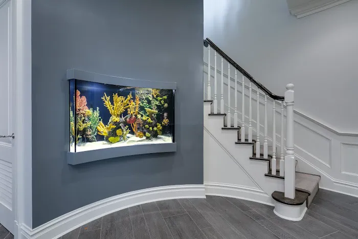 City Aquarium LLC Picture 4