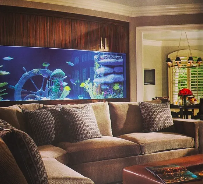 City Aquarium LLC Picture 9