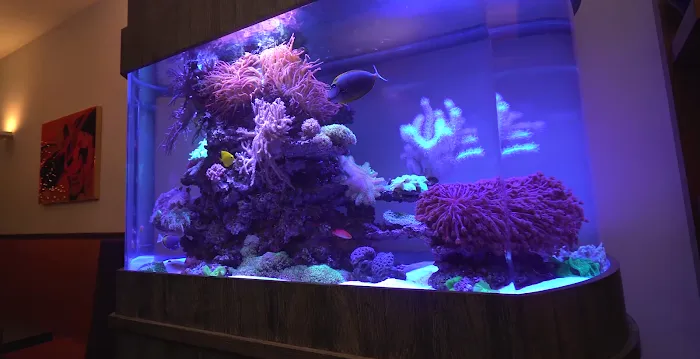 City Aquarium LLC Picture 6