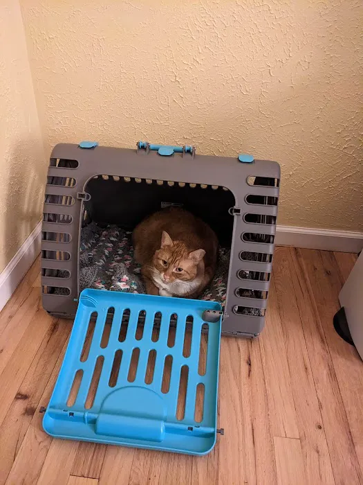 Centereach Animal Hospital Picture 4