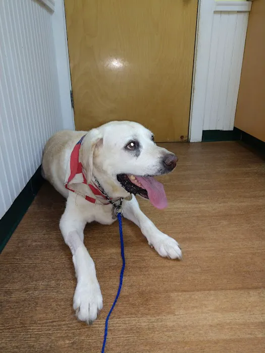 Centereach Animal Hospital Picture 8