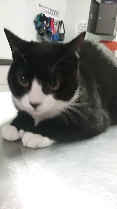 Family Pet Clinic Picture 2
