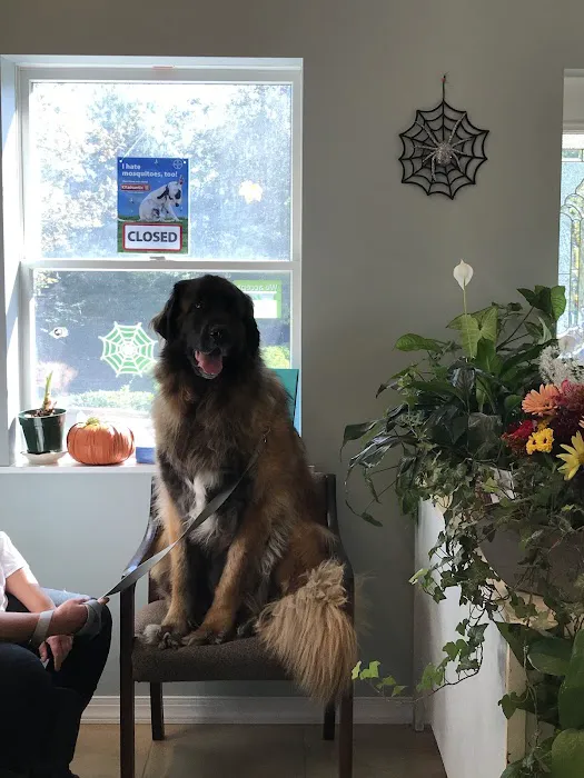Family Pet Clinic Picture 9