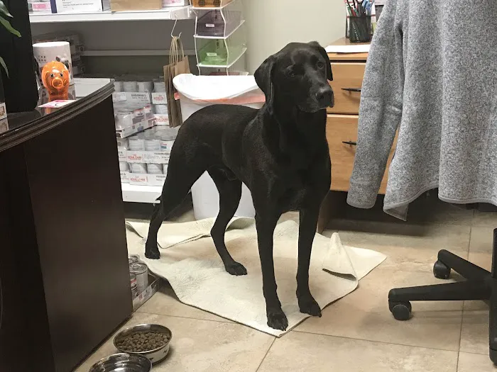 Family Pet Clinic Picture 10