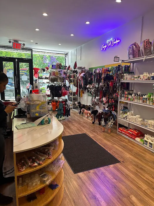 Species Pet World - We DO NOT have a Website Picture 6