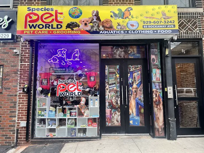Species Pet World - We DO NOT have a Website Picture 5