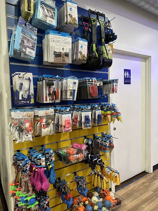 Species Pet World - We DO NOT have a Website Picture 1
