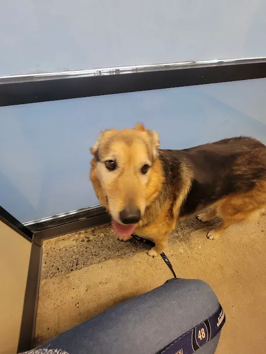 Vetco Total Care Animal Hospital Picture 1
