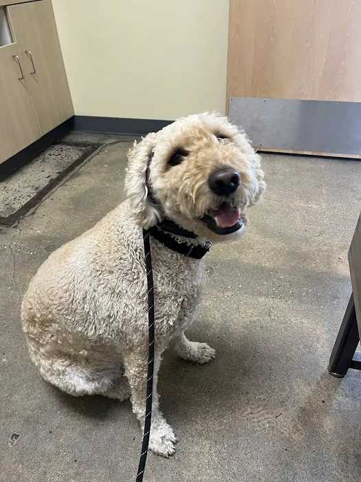 Vetco Total Care Animal Hospital Picture 5
