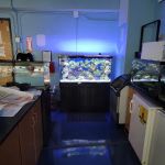 Father Natures Aquarium Services