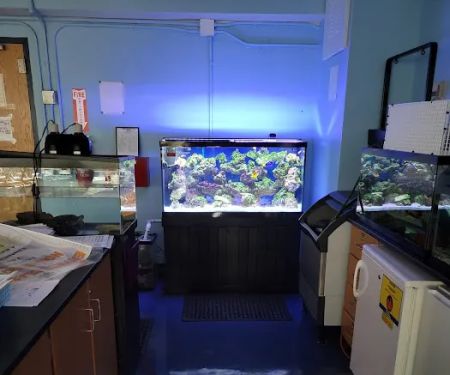 Father Natures Aquarium Services