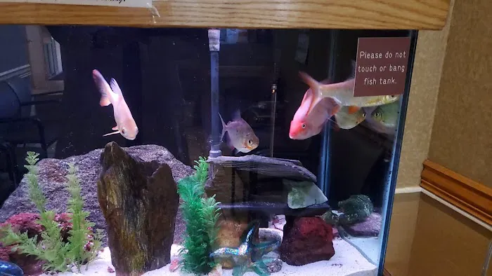 Father Natures Aquarium Services Picture 2