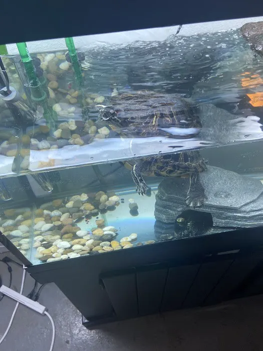 Father Natures Aquarium Services Picture 6