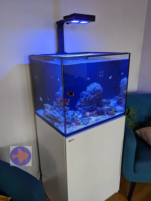 Reef Ryders Aquarium Service and Maintenance Picture 2
