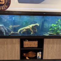 Reef Ryders Aquarium Service and Maintenance ico