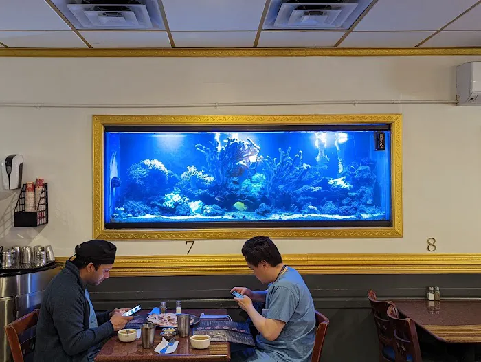 Reef Ryders Aquarium Service and Maintenance Picture 4
