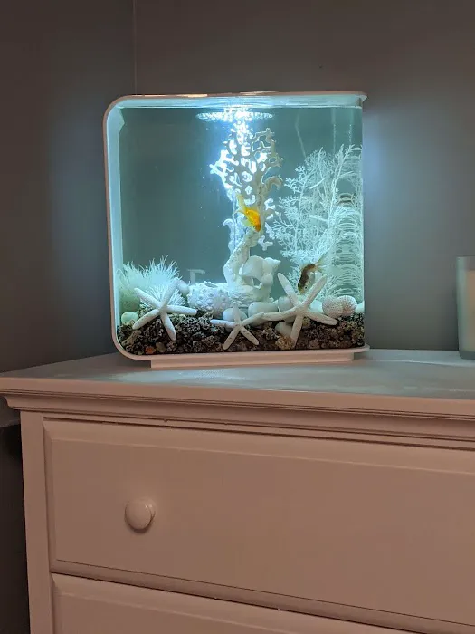 Reef Ryders Aquarium Service and Maintenance Picture 8