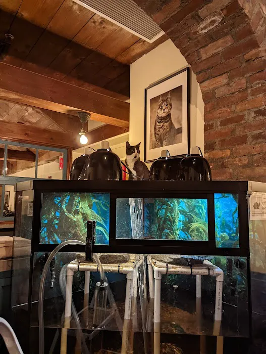 Reef Ryders Aquarium Service and Maintenance Picture 6