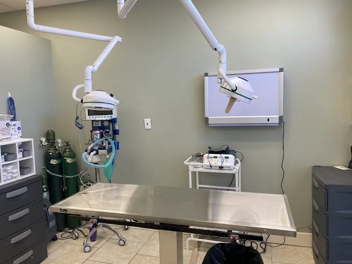 Long Island Animal Surgery Picture 10